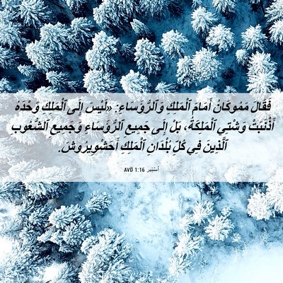 Picture 06 - أَسْتِير 1:16 AVD - فَقَالَ مَمُوكَانُ - Bible Verse Picture