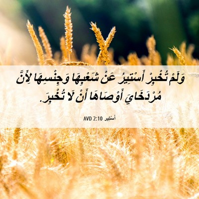 Picture 06 - أَسْتِير 2:10 AVD - وَلَمْ تُخْبِرْ أَسْتِيرُ - Bible Verse Picture