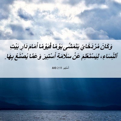 Picture 06 - أَسْتِير 2:11 AVD - وَكَانَ مُرْدَخَايُ - Bible Verse Picture