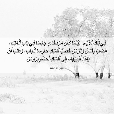 Picture 06 - أَسْتِير 2:21 AVD - فِي تِلْكَ ٱلْأَيَّامِ، - Bible Verse Picture