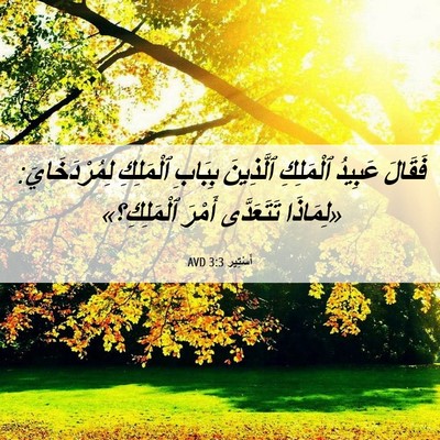Picture 06 - أَسْتِير 3:3 AVD - فَقَالَ عَبِيدُ ٱلْمَلِكِ - Bible Verse Picture