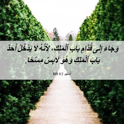 Picture 06 - أَسْتِير 4:2 AVD - وَجَاءَ إِلَى قُدَّامِ - Bible Verse Picture