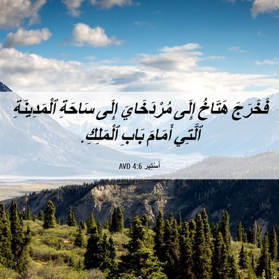 Picture 06 - أَسْتِير 4:6 AVD - فَخَرَجَ هَتَاخُ إِلَى - Bible Verse Picture