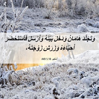 Picture 06 - أَسْتِير 5:10 AVD - وَتَجَلَّدَ هَامَانُ - Bible Verse Picture