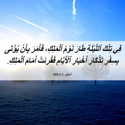 Picture 06 - أَسْتِير 6:1 AVD - فِي تِلْكَ ٱللَّيْلَةِ - Bible Verse Picture