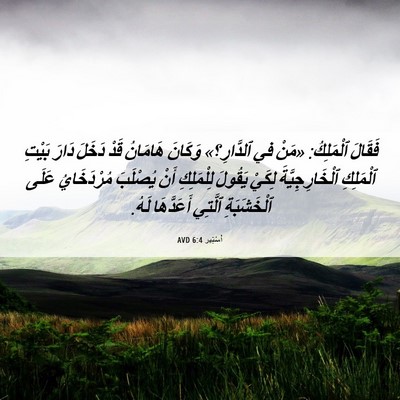 Picture 06 - أَسْتِير 6:4 AVD - فَقَالَ ٱلْمَلِكُ: «مَنْ - Bible Verse Picture