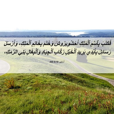 Picture 06 - أَسْتِير 8:10 AVD - فَكَتَبَ بِٱسْمِ - Bible Verse Picture