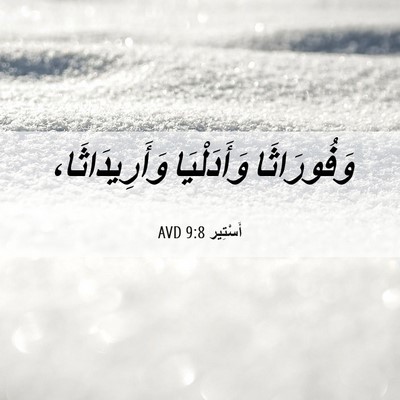 Picture 06 - أَسْتِير 9:8 AVD - وَفُورَاثَا وَأَدَلْيَا - Bible Verse Picture
