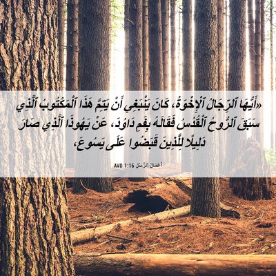 Picture 06 - أَعْمَالُ ٱلرُّسُلِ 1:16 AVD - «أَيُّهَا ٱلرِّجَالُ - Bible Verse Picture