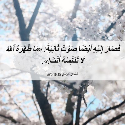 Picture 06 - أَعْمَالُ ٱلرُّسُلِ 10:15 AVD - فَصَارَ إِلَيْهِ أَيْضًا - Bible Verse Picture