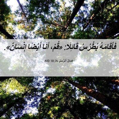 Picture 06 - أَعْمَالُ ٱلرُّسُلِ 10:26 AVD - فَأَقَامَهُ بُطْرُسُ - Bible Verse Picture