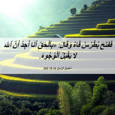 Picture 06 - أَعْمَالُ ٱلرُّسُلِ 10:34 AVD - فَفَتَحَ بُطْرُسُ فَاهُ - Bible Verse Picture