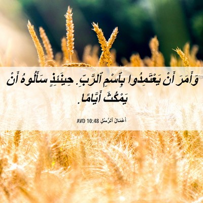 Picture 06 - أَعْمَالُ ٱلرُّسُلِ 10:48 AVD - وَأَمَرَ أَنْ - Bible Verse Picture