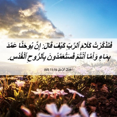 Picture 06 - أَعْمَالُ ٱلرُّسُلِ 11:16 AVD - فَتَذَكَّرْتُ كَلَامَ - Bible Verse Picture