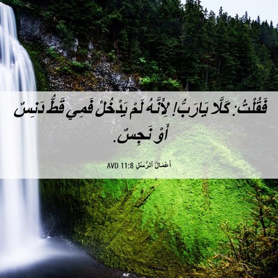 Picture 06 - أَعْمَالُ ٱلرُّسُلِ 11:8 AVD - فَقُلْتُ: كَلَّا يَارَبُّ! - Bible Verse Picture