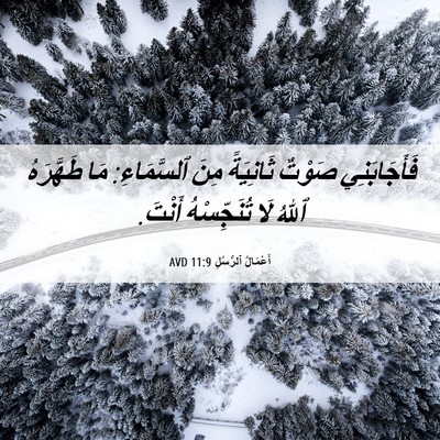 Picture 06 - أَعْمَالُ ٱلرُّسُلِ 11:9 AVD - فَأَجَابَنِي صَوْتٌ - Bible Verse Picture