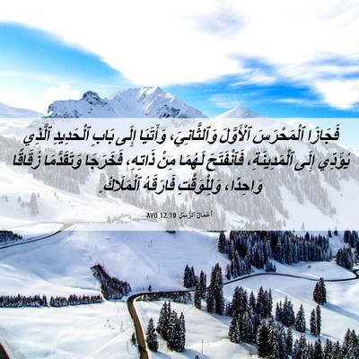 Picture 06 - أَعْمَالُ ٱلرُّسُلِ 12:10 AVD - فَجَازَا ٱلْمَحْرَسَ - Bible Verse Picture