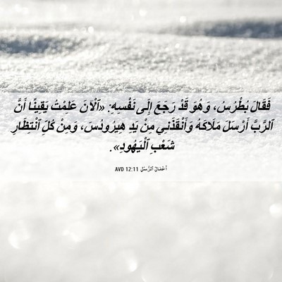 Picture 06 - أَعْمَالُ ٱلرُّسُلِ 12:11 AVD - فَقَالَ بُطْرُسُ، وَهُوَ - Bible Verse Picture