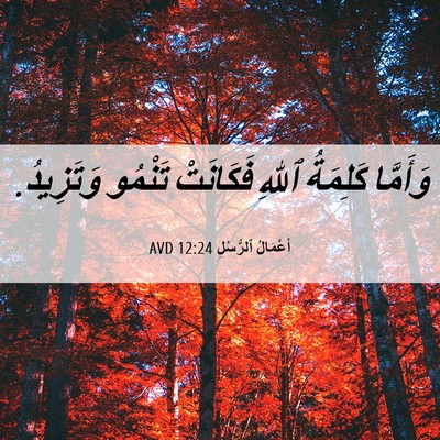 Picture 06 - أَعْمَالُ ٱلرُّسُلِ 12:24 AVD - وَأَمَّا كَلِمَةُ ٱللهِ - Bible Verse Picture