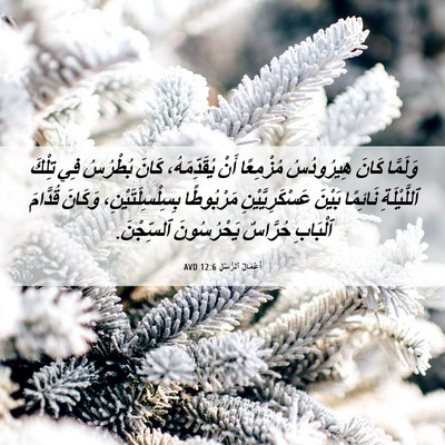 Picture 06 - أَعْمَالُ ٱلرُّسُلِ 12:6 AVD - وَلَمَّا كَانَ هِيرُودُسُ - Bible Verse Picture