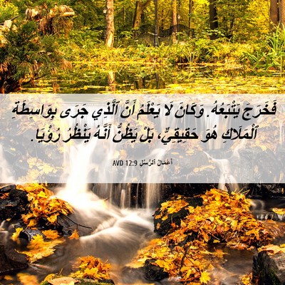 Picture 06 - أَعْمَالُ ٱلرُّسُلِ 12:9 AVD - فَخَرَجَ يَتْبَعُهُ. - Bible Verse Picture