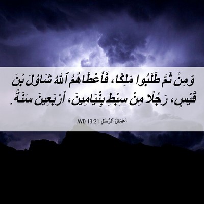 Picture 06 - أَعْمَالُ ٱلرُّسُلِ 13:21 AVD - وَمِنْ ثَمَّ طَلَبُوا - Bible Verse Picture