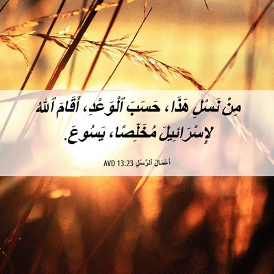 Picture 06 - أَعْمَالُ ٱلرُّسُلِ 13:23 AVD - مِنْ نَسْلِ هَذَا، حَسَبَ - Bible Verse Picture