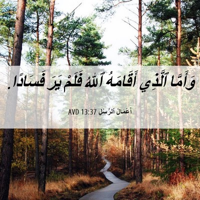 Picture 06 - أَعْمَالُ ٱلرُّسُلِ 13:37 AVD - وَأَمَّا ٱلَّذِي - Bible Verse Picture