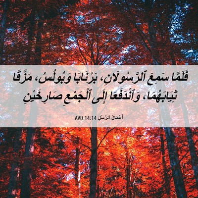 Picture 06 - أَعْمَالُ ٱلرُّسُلِ 14:14 AVD - فَلَمَّا سَمِعَ - Bible Verse Picture