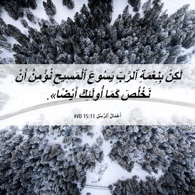 Picture 06 - أَعْمَالُ ٱلرُّسُلِ 15:11 AVD - لَكِنْ بِنِعْمَةِ - Bible Verse Picture