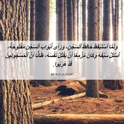 Picture 06 - أَعْمَالُ ٱلرُّسُلِ 16:27 AVD - وَلَمَّا ٱسْتَيْقَظَ - Bible Verse Picture