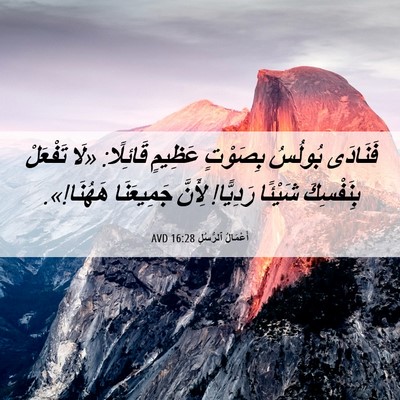 Picture 06 - أَعْمَالُ ٱلرُّسُلِ 16:28 AVD - فَنَادَى بُولُسُ بِصَوْتٍ - Bible Verse Picture
