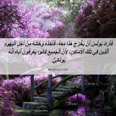 Picture 06 - أَعْمَالُ ٱلرُّسُلِ 16:3 AVD - فَأَرَادَ بُولُسُ أَنْ - Bible Verse Picture
