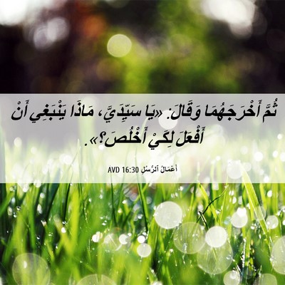 Picture 06 - أَعْمَالُ ٱلرُّسُلِ 16:30 AVD - ثُمَّ أَخْرَجَهُمَا - Bible Verse Picture