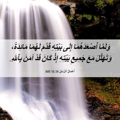 Picture 06 - أَعْمَالُ ٱلرُّسُلِ 16:34 AVD - وَلَمَّا أَصْعَدَهُمَا - Bible Verse Picture