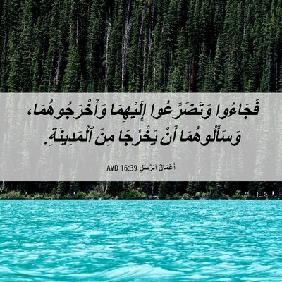 Picture 06 - أَعْمَالُ ٱلرُّسُلِ 16:39 AVD - فَجَاءُوا وَتَضَرَّعُوا - Bible Verse Picture