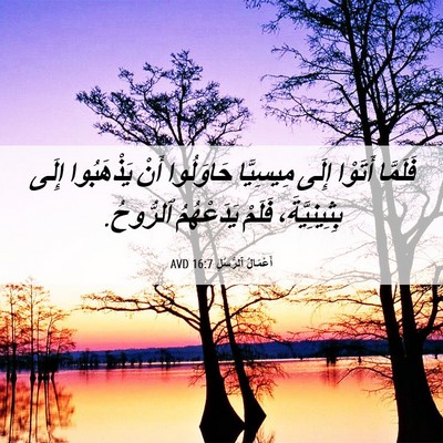 Picture 06 - أَعْمَالُ ٱلرُّسُلِ 16:7 AVD - فَلَمَّا أَتَوْا إِلَى - Bible Verse Picture