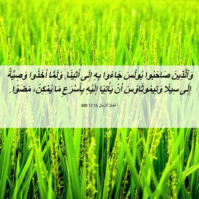 Picture 06 - أَعْمَالُ ٱلرُّسُلِ 17:15 AVD - وَٱلَّذِينَ صَاحَبُوا - Bible Verse Picture