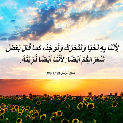 Picture 06 - أَعْمَالُ ٱلرُّسُلِ 17:28 AVD - لِأَنَّنَا بِهِ نَحْيَا - Bible Verse Picture