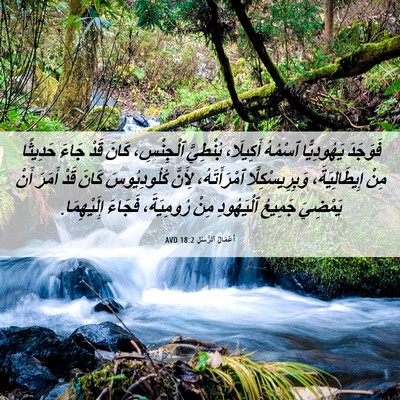 Picture 06 - أَعْمَالُ ٱلرُّسُلِ 18:2 AVD - فَوَجَدَ يَهُودِيًّا - Bible Verse Picture
