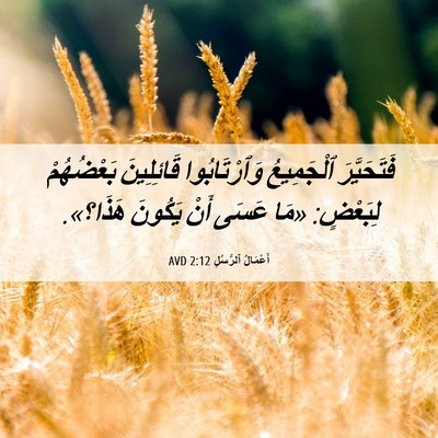 Picture 06 - أَعْمَالُ ٱلرُّسُلِ 2:12 AVD - فَتَحَيَّرَ ٱلْجَمِيعُ - Bible Verse Picture