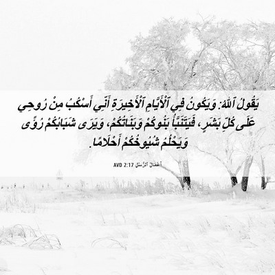 Picture 06 - أَعْمَالُ ٱلرُّسُلِ 2:17 AVD - يَقُولُ ٱللهُ: وَيَكُونُ - Bible Verse Picture
