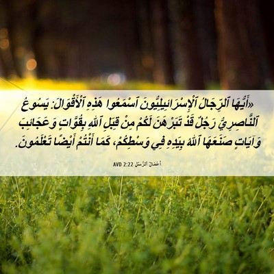 Picture 06 - أَعْمَالُ ٱلرُّسُلِ 2:22 AVD - «أَيُّهَا ٱلرِّجَالُ - Bible Verse Picture
