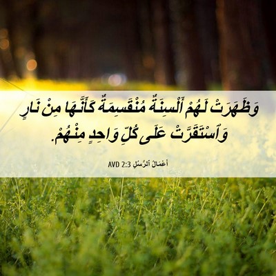 Picture 06 - أَعْمَالُ ٱلرُّسُلِ 2:3 AVD - وَظَهَرَتْ لَهُمْ - Bible Verse Picture