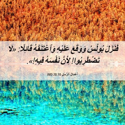 Picture 06 - أَعْمَالُ ٱلرُّسُلِ 20:10 AVD - فَنَزَلَ بُولُسُ وَوَقَعَ - Bible Verse Picture