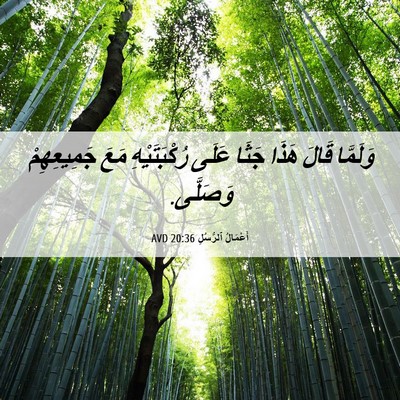 Picture 06 - أَعْمَالُ ٱلرُّسُلِ 20:36 AVD - وَلَمَّا قَالَ هَذَا جَثَا - Bible Verse Picture