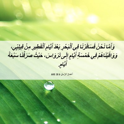 Picture 06 - أَعْمَالُ ٱلرُّسُلِ 20:6 AVD - وَأَمَّا نَحْنُ - Bible Verse Picture