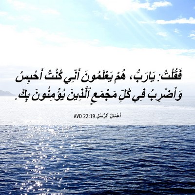 Picture 06 - أَعْمَالُ ٱلرُّسُلِ 22:19 AVD - فَقُلْتُ: يَارَبُّ، هُمْ - Bible Verse Picture