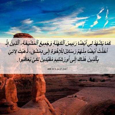 Picture 06 - أَعْمَالُ ٱلرُّسُلِ 22:5 AVD - كَمَا يَشْهَدُ لِي أَيْضًا - Bible Verse Picture