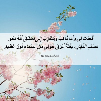 Picture 06 - أَعْمَالُ ٱلرُّسُلِ 22:6 AVD - فَحَدَثَ لِي وَأَنَا - Bible Verse Picture